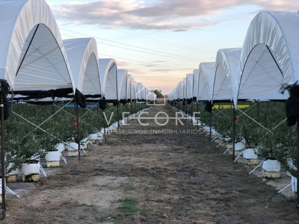 Terreno en venta en Ocotlan Centro, Ocotlán — foto 3 de 9