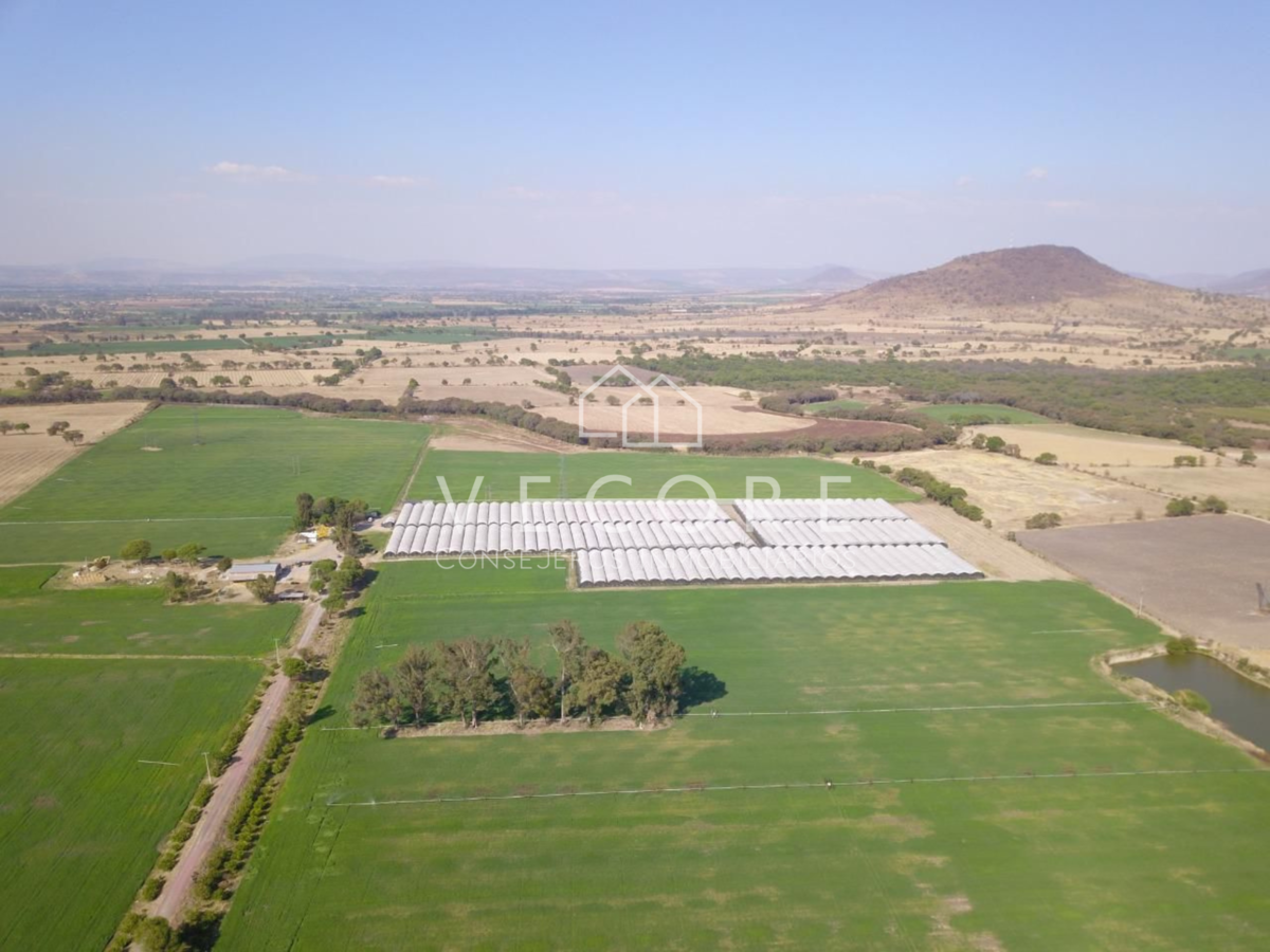 Terreno en venta en Ocotlan Centro, Ocotlán — foto 1 de 9