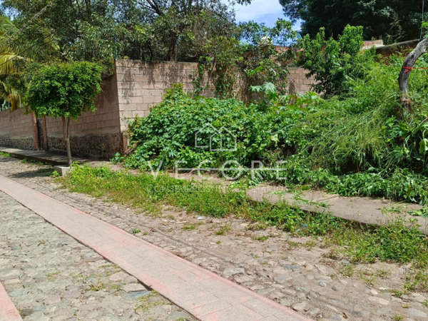 Terreno en venta en Amacueca, Amacueca — foto 2 de 9
