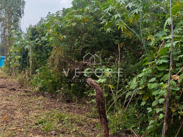 Terreno en venta en Amacueca, Amacueca — foto 3 de 9
