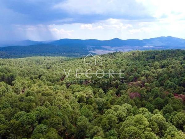 Terreno en venta en Tapalpa, Tapalpa — foto 2 de 6