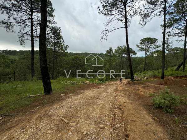 Terreno en venta en Tapalpa, Tapalpa — foto 3 de 11
