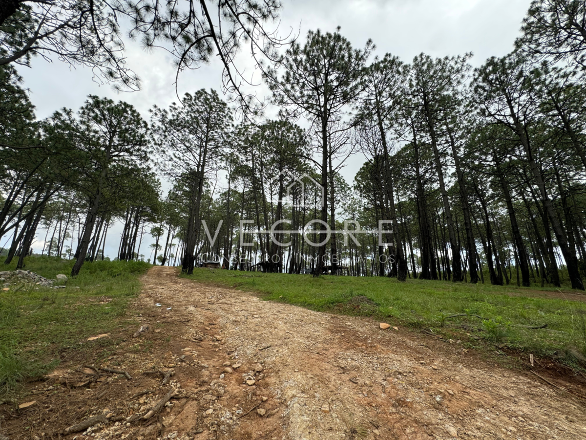 Terreno en venta en Tapalpa, Tapalpa — foto 1 de 11