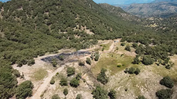 Terreno en venta en Santa Lucia, Zapopan — foto 3 de 18