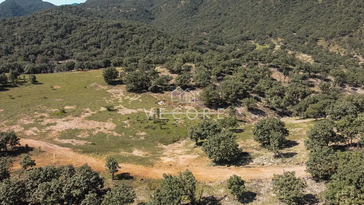 Terreno en venta en Santa Lucia, Zapopan — foto 1 de 18