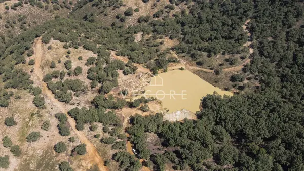 Terreno en venta en Santa Lucia, Zapopan — foto 2 de 18