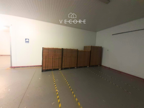 Terreno en venta en Ziracuaretiro, Ziracuaretiro — foto 2 de 30