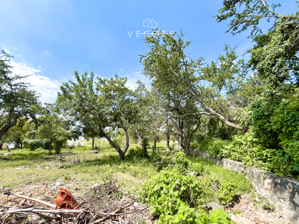 Terreno en venta en Chapala Centro, Chapala — foto 3 de 30
