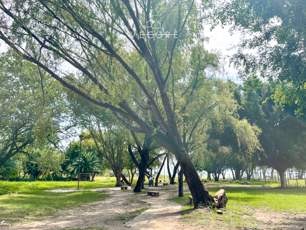 Terreno en venta en Chapala Centro, Chapala — foto 2 de 30