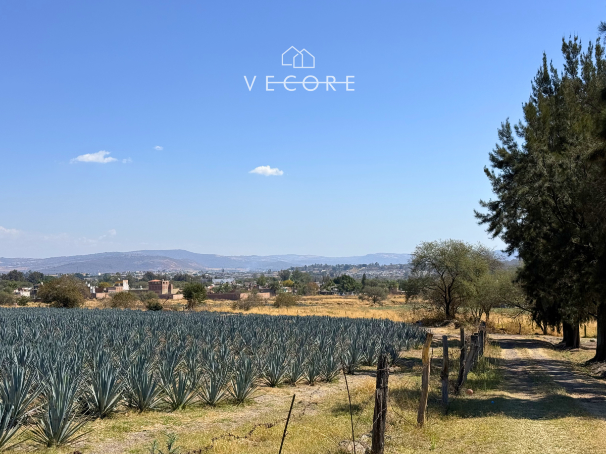 Terreno en venta en Puente Grande, Tonalá — foto 1 de 13