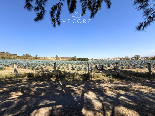 Terreno en venta en Puente Grande, Tonalá — foto 2 de 13