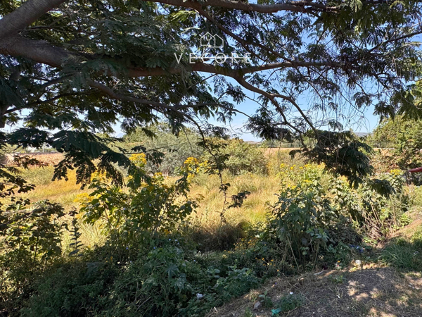 Terreno en venta en Los Cedros, Ixtlahuacán de los Membrillos — foto 3 de 14