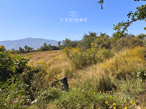 Terreno en venta en Los Cedros, Ixtlahuacán de los Membrillos — foto 2 de 14