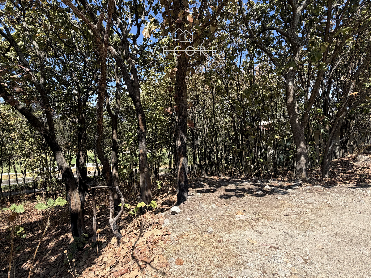 Terreno en venta en El Cielo Country Club, Tlajomulco de Zúñiga — foto 1 de 10