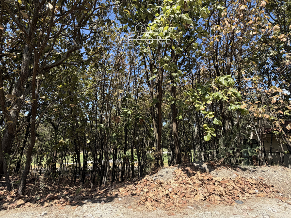 Terreno en venta en El Cielo Country Club, Tlajomulco de Zúñiga — foto 3 de 10