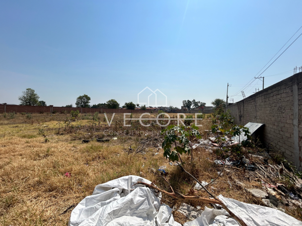 Terreno en renta en Tlajomulco Centro, Tlajomulco de Zúñiga — foto 3 de 8