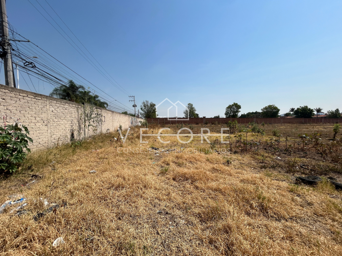Terreno en renta en Tlajomulco Centro, Tlajomulco de Zúñiga — foto 1 de 8