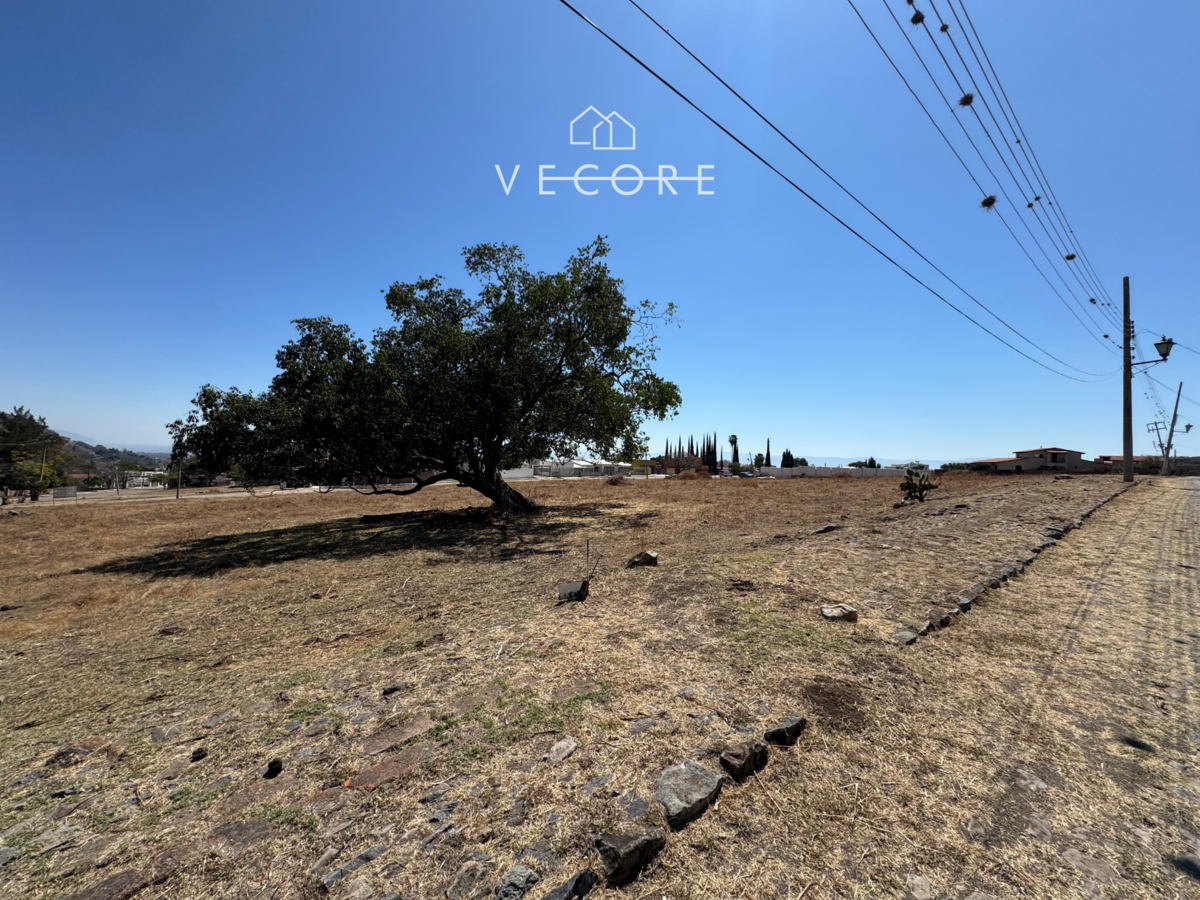 Terreno en venta en Brisas de Chapala, Chapala — foto 1 de 13