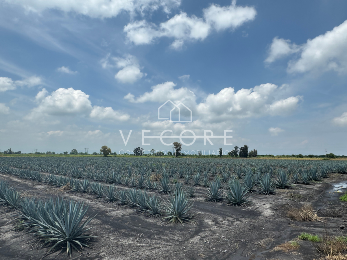 Terreno en venta en Venustiano Carranza, Venustiano Carranza — foto 1 de 11