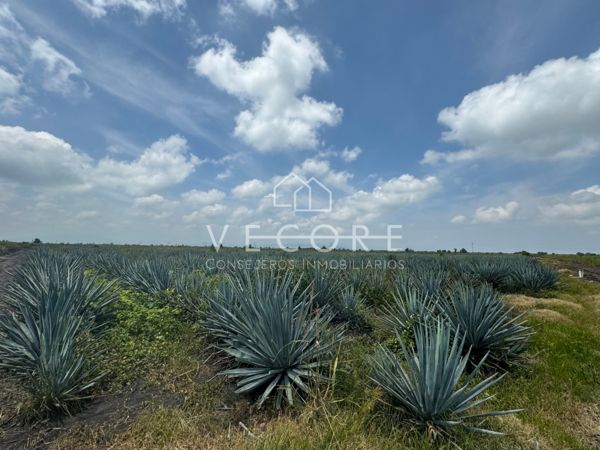 Terreno en venta en Venustiano Carranza, Venustiano Carranza — foto 2 de 11