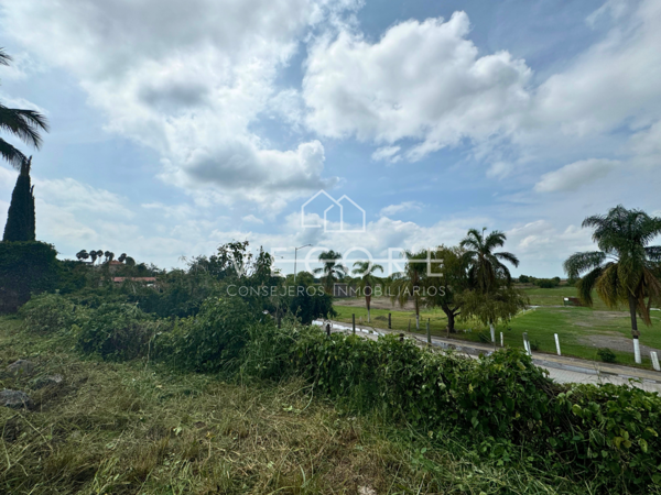 Terreno en venta en Jamay Centro, Jamay — foto 3 de 8
