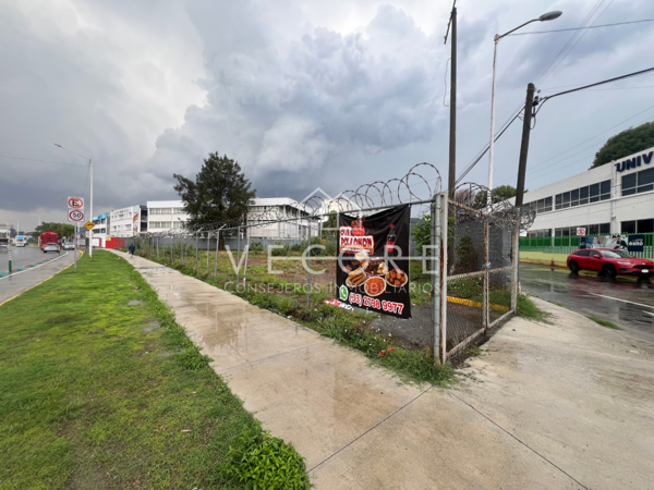 Terreno en renta en El Bajío, Zapopan — foto 2 de 8
