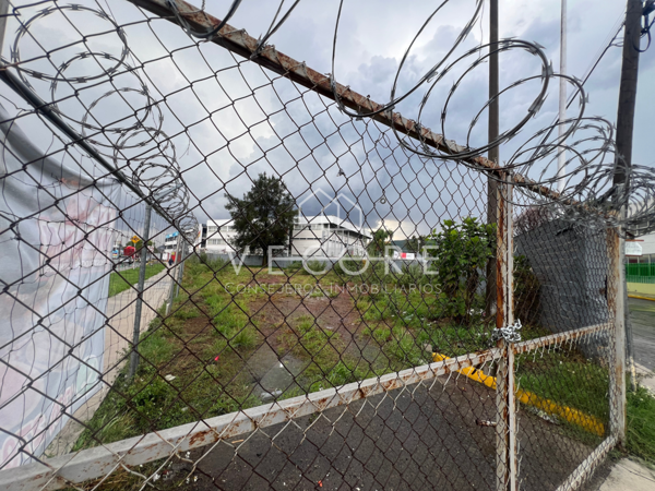 Terreno en renta en El Bajío, Zapopan — foto 3 de 8