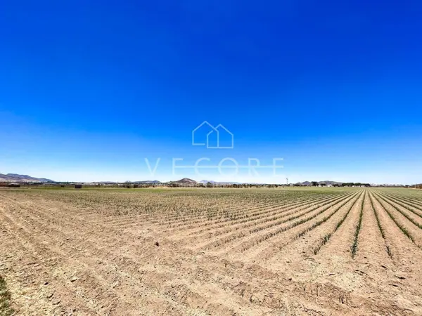 Terreno en venta en Nuevo Mexico, Zapopan — foto 3 de 13