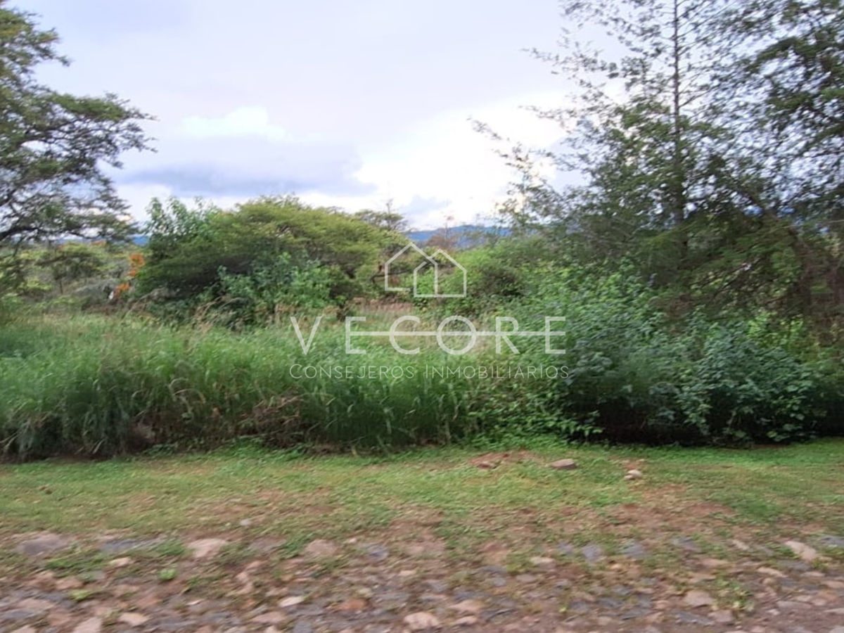 Terreno en venta en Tapalpa, Tapalpa — foto 1 de 4