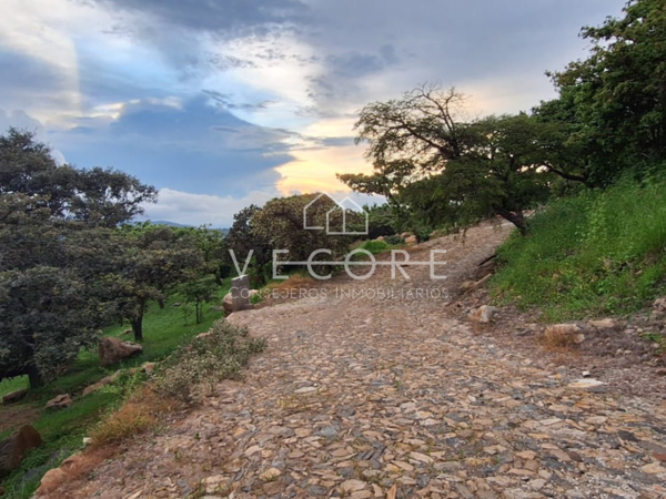 Terreno en venta en Tapalpa, Tapalpa — foto 2 de 4