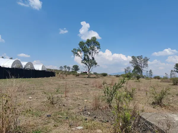 Terreno en venta en Simpanio Norte, Morelia — foto 3 de 6