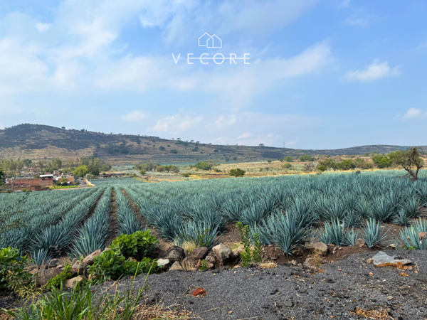 Terreno en venta en Zapotlanejo, Zapotlanejo — foto 3 de 19