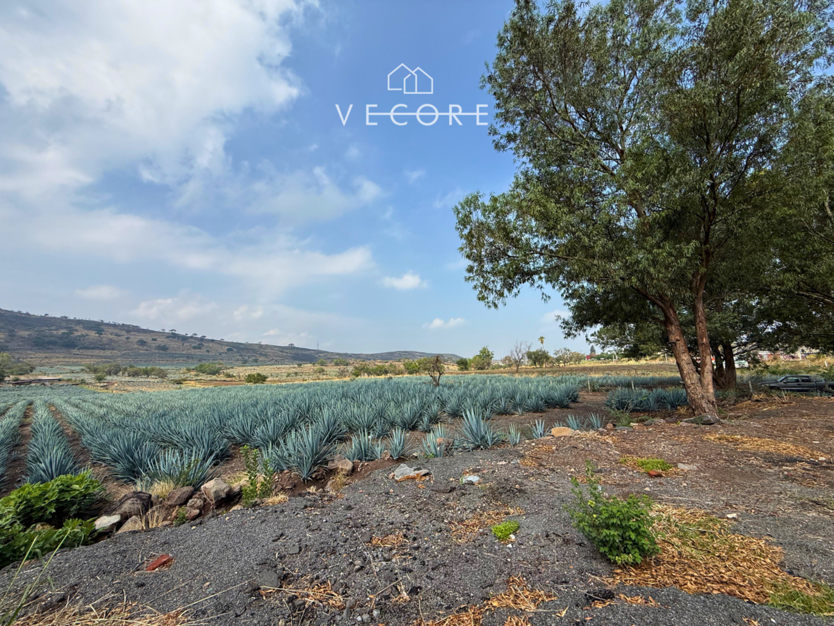 Terreno en venta en Zapotlanejo, Zapotlanejo — foto 1 de 19