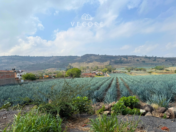 Terreno en venta en Zapotlanejo, Zapotlanejo — foto 2 de 19