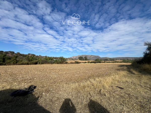 Terreno en venta en La Venta del Astillero, Zapopan — foto 3 de 23