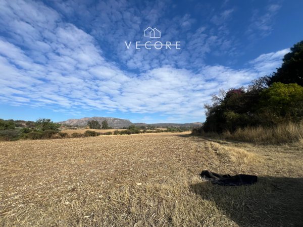Terreno en venta en La Venta del Astillero, Zapopan — foto 2 de 23