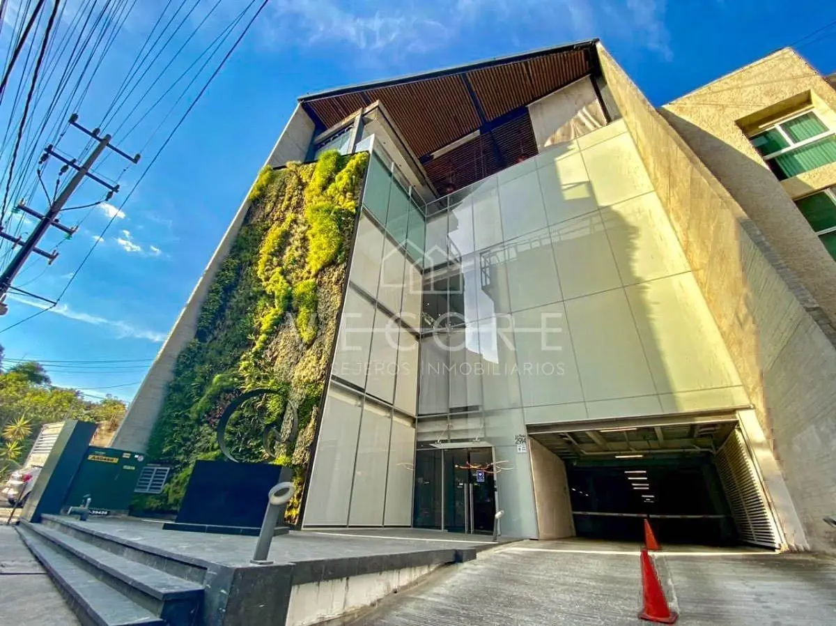 Oficina en renta en Colomos Providencia, Guadalajara — foto 1 de 10