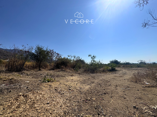Terreno en venta en San Juan Cosala, Jocotepec — foto 3 de 16