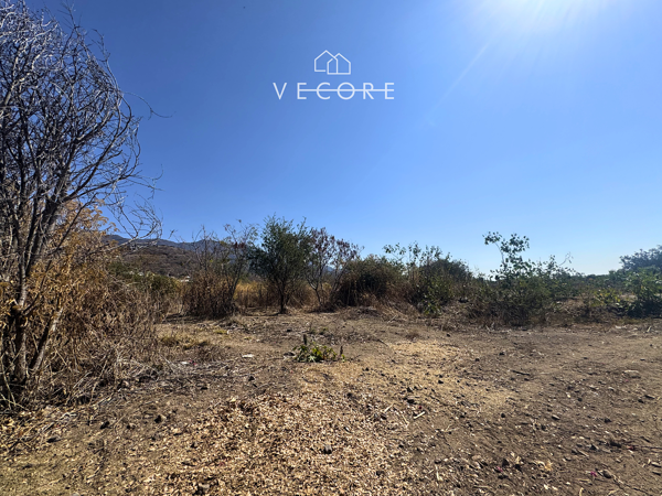 Terreno en venta en San Juan Cosala, Jocotepec — foto 2 de 16