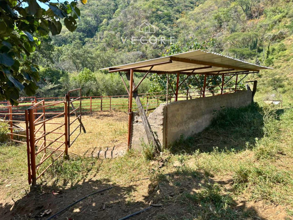 Terreno en venta en Chiquilistlan, Chiquilistlán — foto 3 de 23