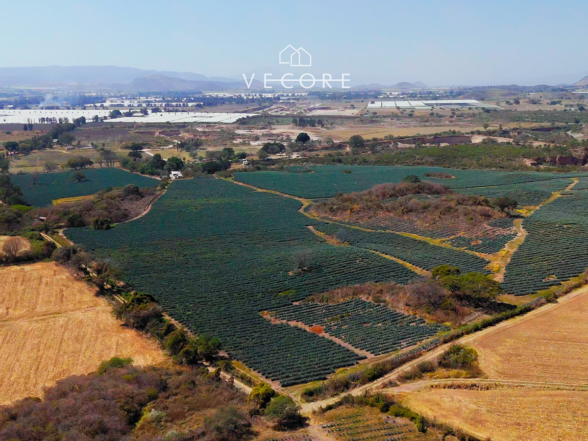 Terreno en venta en Paseo de Los Agaves, Tlajomulco de Zúñiga — foto 1 de 21