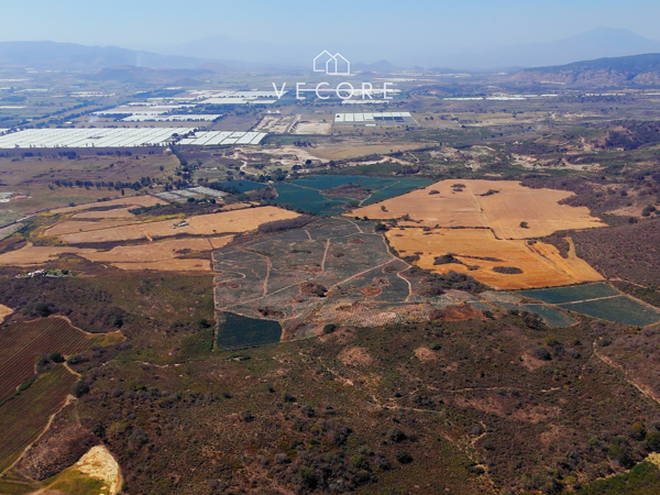 Terreno en venta en Paseo de Los Agaves, Tlajomulco de Zúñiga — foto 3 de 21