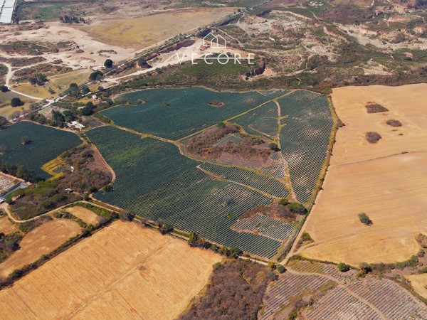 Terreno en venta en Paseo de Los Agaves, Tlajomulco de Zúñiga — foto 2 de 21