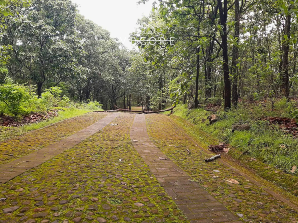 Terreno en venta en Teuchitlan, Teuchitlán — foto 2 de 10