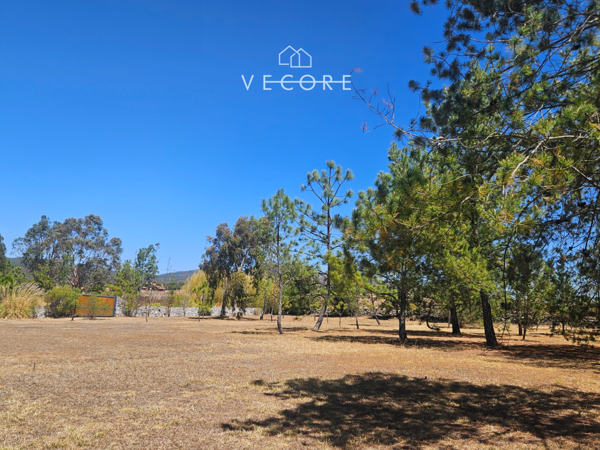 Terreno en venta en Tapalpa, Tapalpa — foto 2 de 8