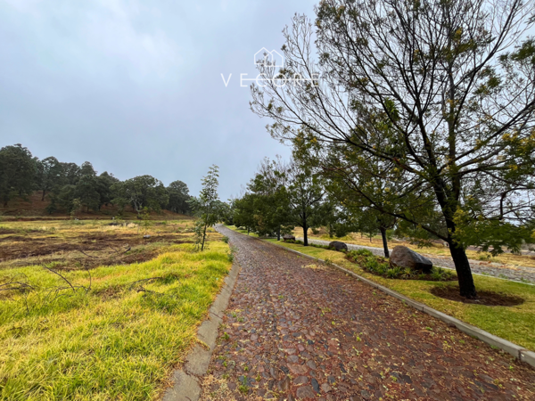 Terreno en venta en Mazamitla, Mazamitla — foto 2 de 9