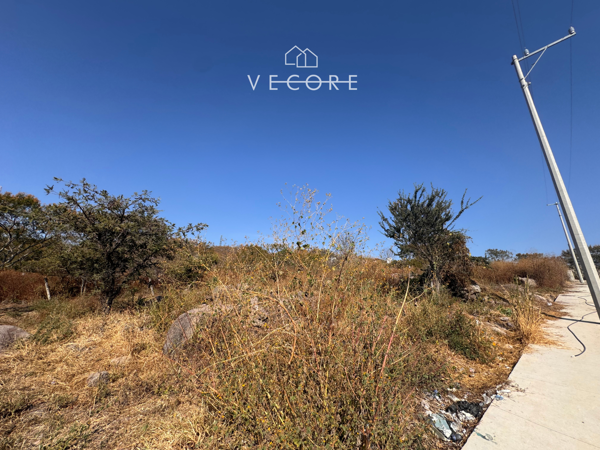 Terreno en venta en Colinas de Cajititlán, Tlajomulco de Zúñiga — foto 3 de 13