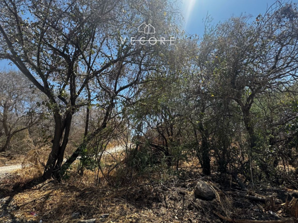 Terreno en venta en Matatlan, Zapotlanejo — foto 3 de 19