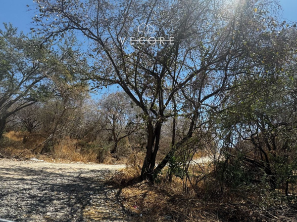 Terreno en venta en Matatlan, Zapotlanejo — foto 2 de 19
