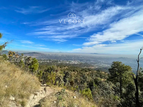 Terreno en venta en Fraccionamiento Bugambilias, Zapopan — foto 3 de 5